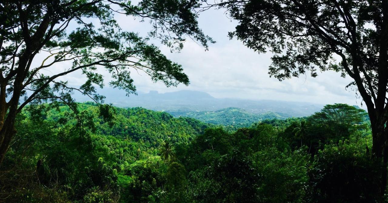 Ceylon Saradiel Home Stay Mawanella 외부 사진